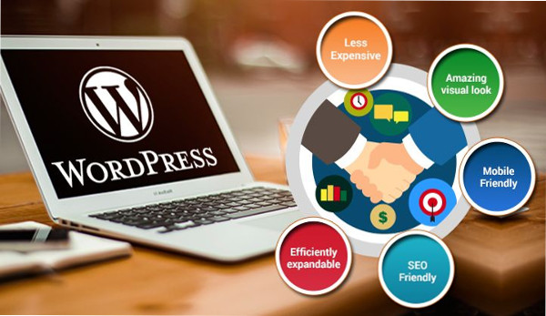 The Benefits of Creating a Website With WordPress