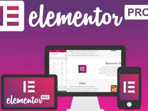 Elementor Pro WordPress Page Builder